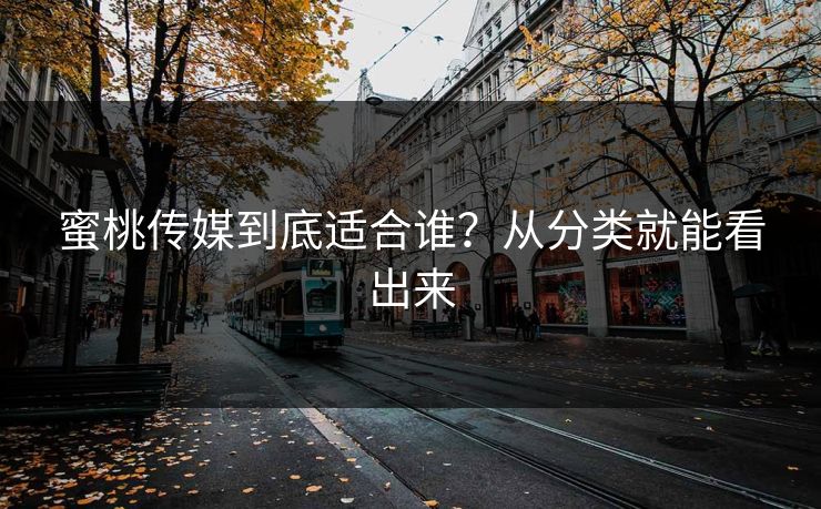 蜜桃传媒到底适合谁？从分类就能看出来