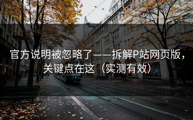 官方说明被忽略了——拆解P站网页版，关键点在这（实测有效）
